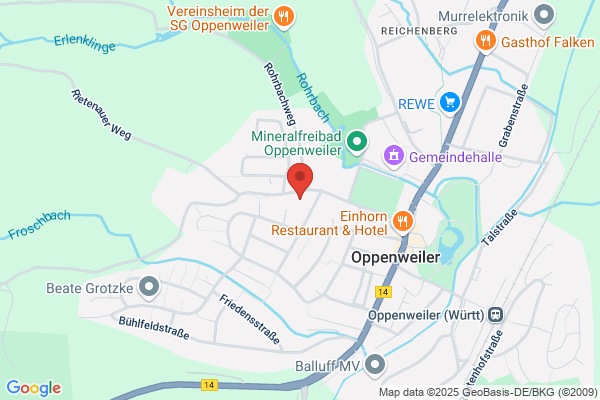 Wilfried Koch