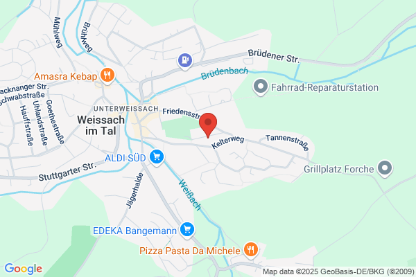 Fechter Anita Microskopische Feinentkratung