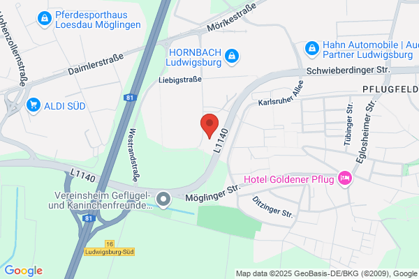 Budget Autovermietung - Ludwigsburg