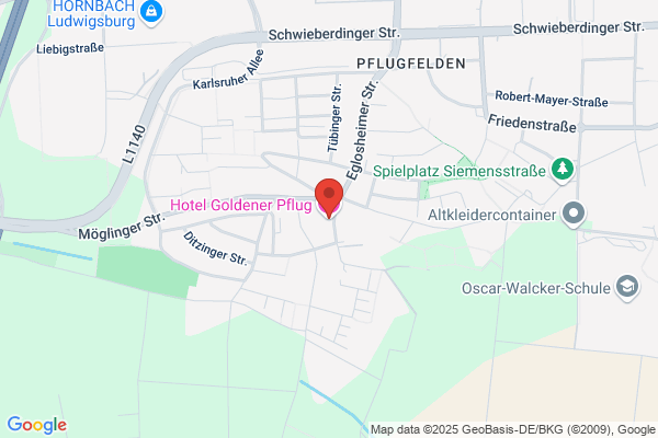 Hotel Goldener Pflug