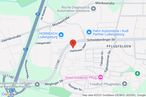 Aichelin Service GmbH