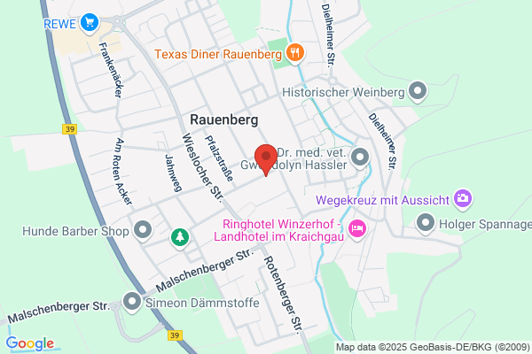 BFS GmbH