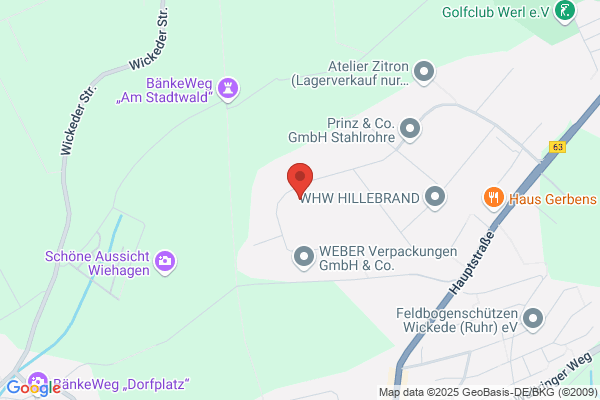 LDV GmbH