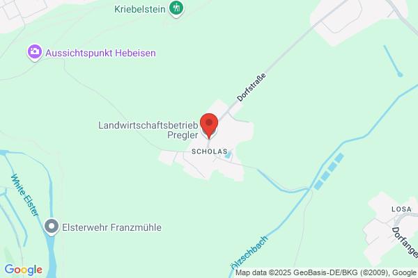 Elfriede Pregler, Gottfried Pregler