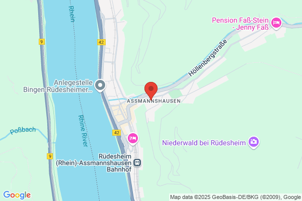 Niederwald-Seilbahn GmbH