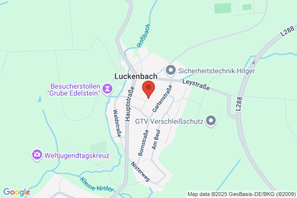 Putz- und Stuckgeschäft Hassel GmbH & Co. KG