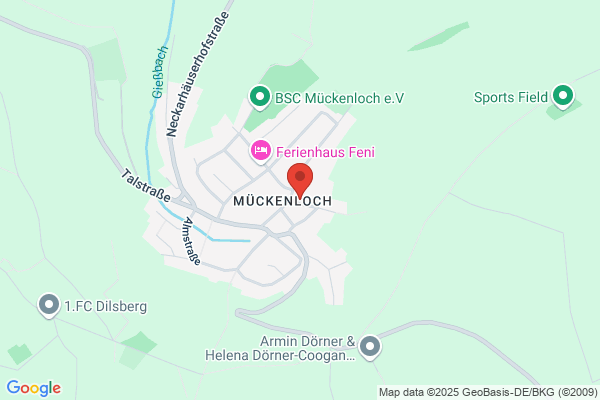 Schneider Stuckgeschäft GmbH