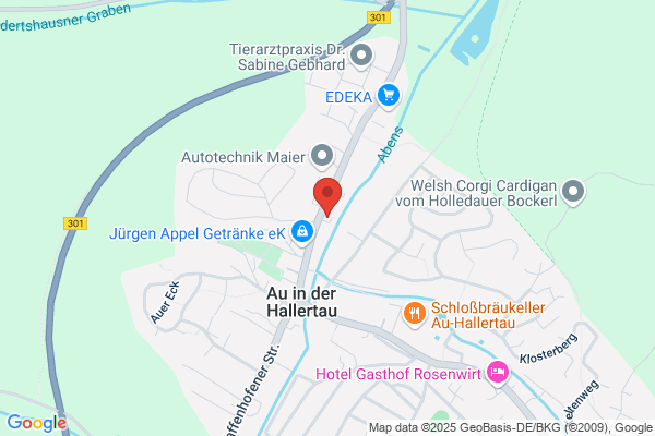 Allianz Versicherung Alois Michael Faltermeier Generalvertretung