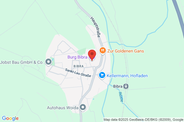 Hans Bibra