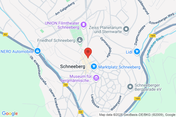 Blumen am Fürstenplatz (Inh. V. Mende)