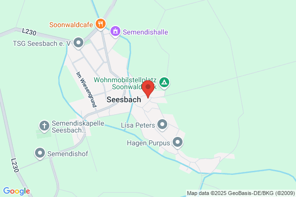 Evangelische Kirche Seesbach - Evangelische Kirchengemeinde Mittlere Nahe