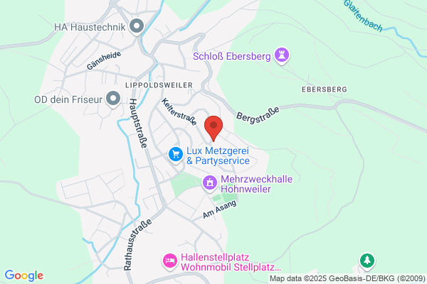 Dachfenster-Kundendienst RotoVelux