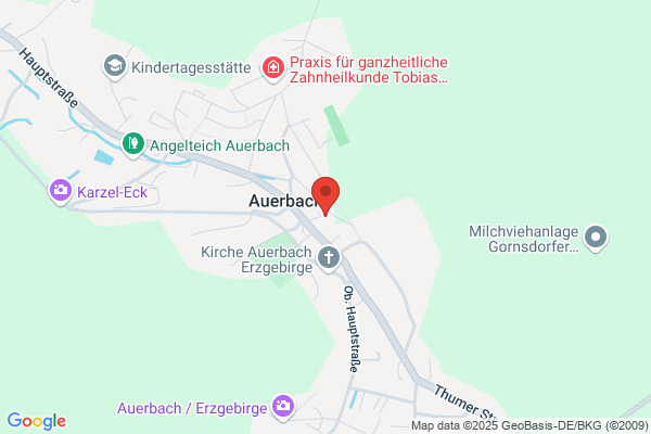 Autohandel Freitag