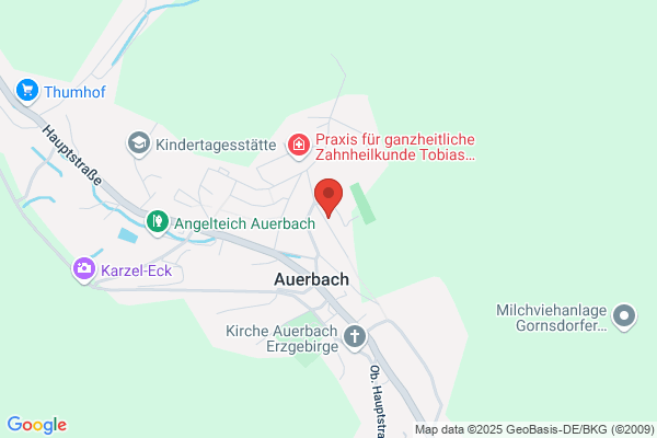 Oberschule Auerbach