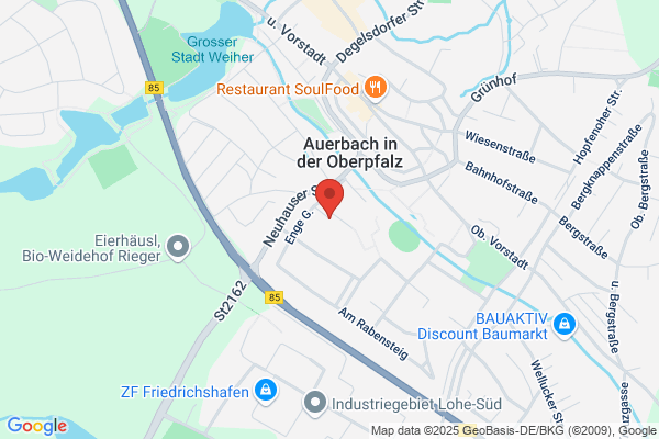 AMS Automatische Meß-