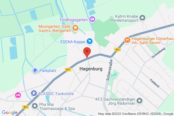 Pizzeria Europa Bringdienst