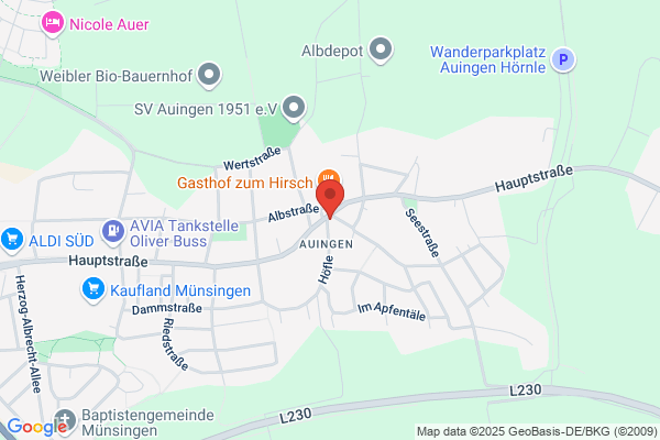 Ochsen
