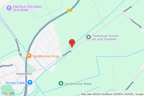 Hundeschule Beste Freunde
