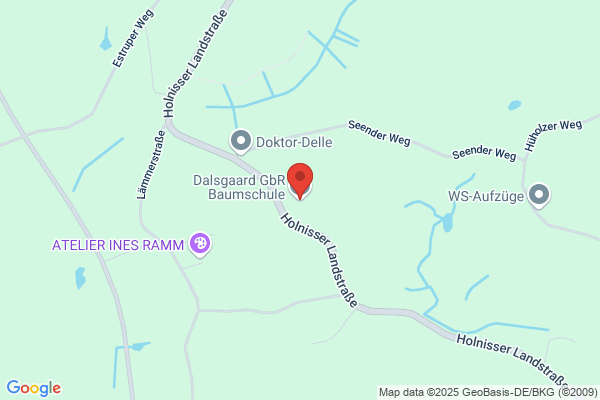 Glass-Fries