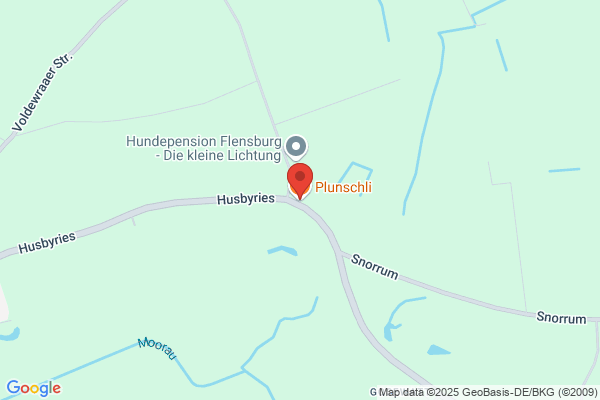 Plunschli