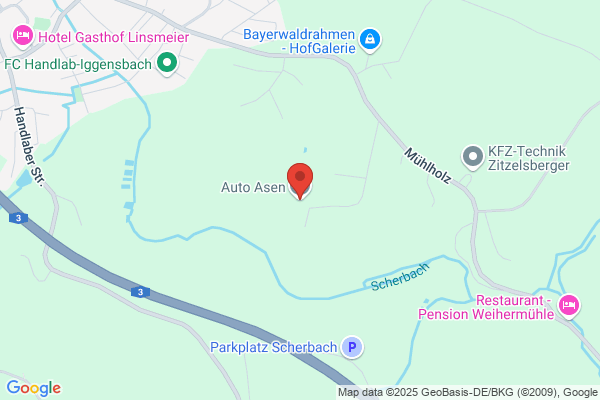 Auto Asen