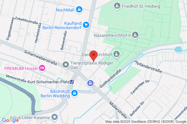 S.E.S. Sportwagen-Service GmbH
