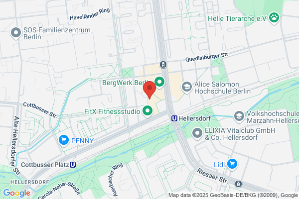Kaiserkrone Blumen & mehr