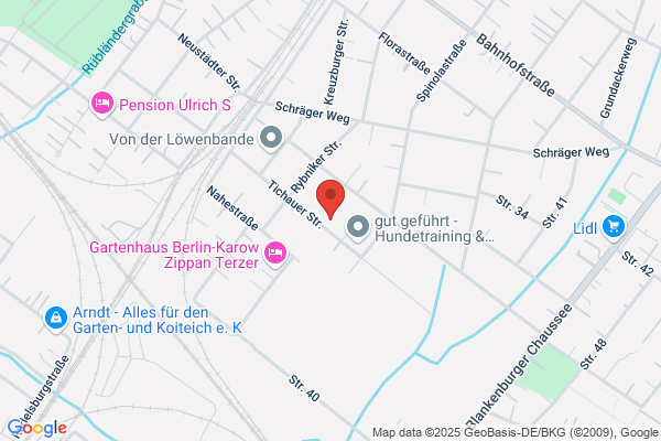 mevess Messe- und