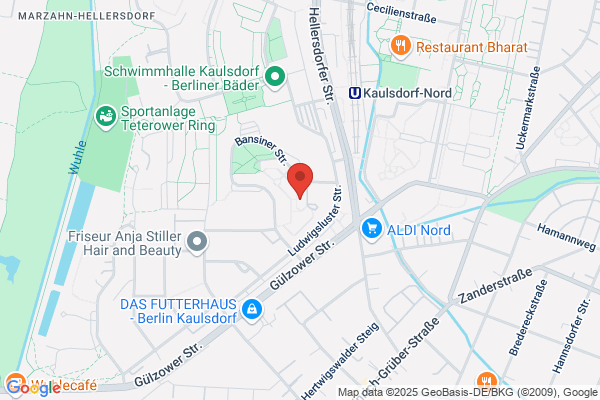 X-netic Media Solutions GmbH