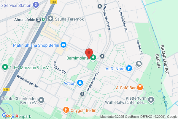 Theranetz GmbH, Theranetz Therapie- und Pflegenetz GmbH