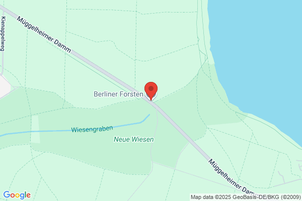 Berliner Forsten