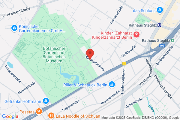 Kirchner-Im Botanischen Garten