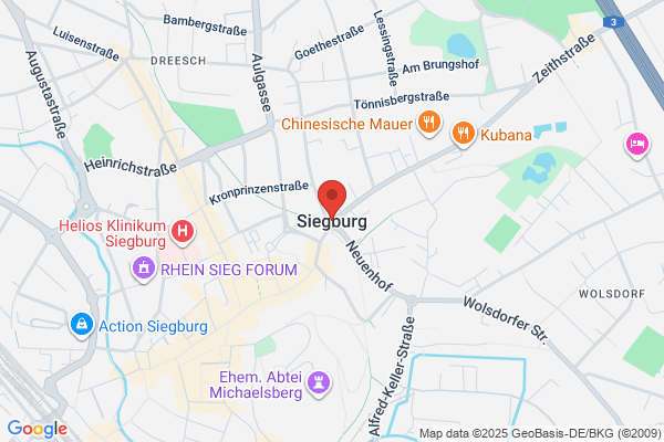 Der Kaminladen