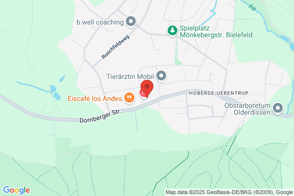 Leeuw, Bettina