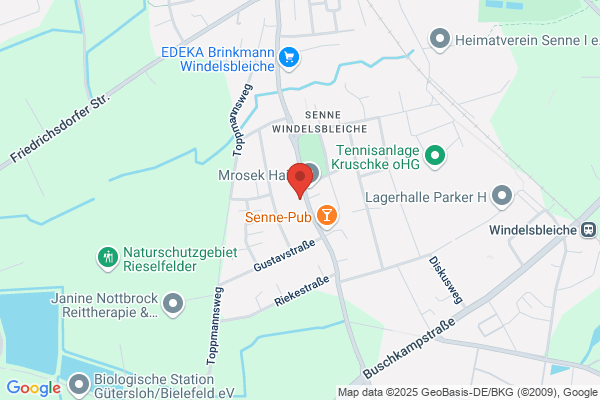 Buchholz Elektronik