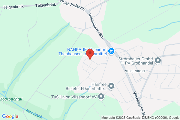 Wilisch Consulting - Nonverbales