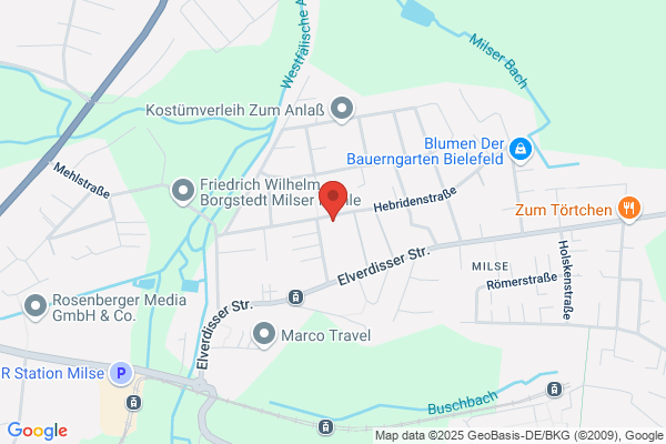 NLP Evolution Kathrin Libke