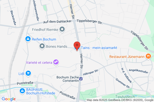English Language Teacher
