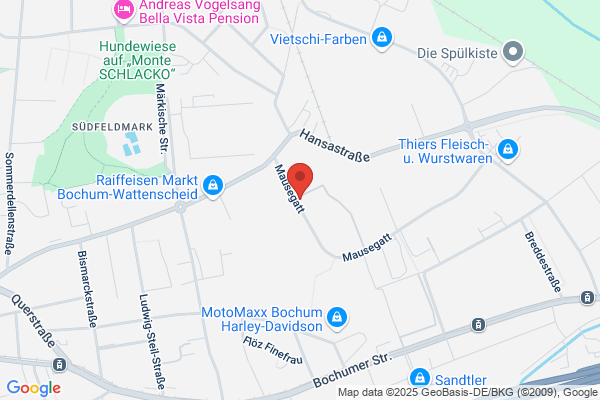 Service Schweppe Motor