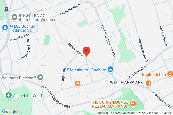 Florida-Infos Mietwagenanbieter Nordamerika Alamo