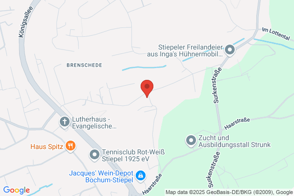 Hein Immobilien