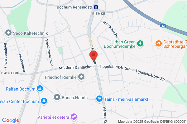 Traum-Haarstudio