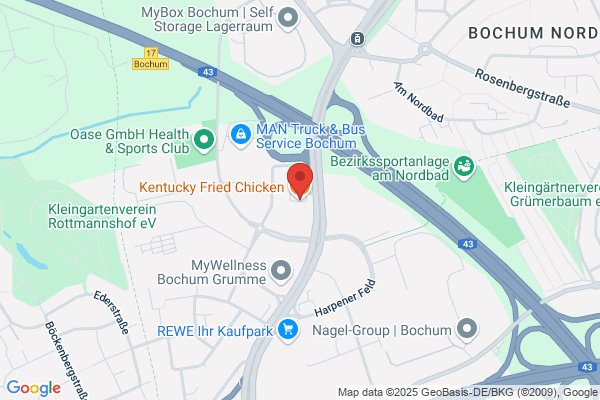 Kentucky Fried Chicken