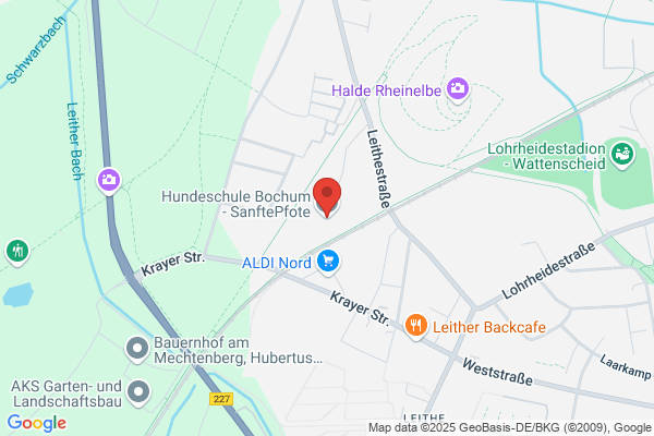 HUNDESCHULE SanftePfote | Bochum