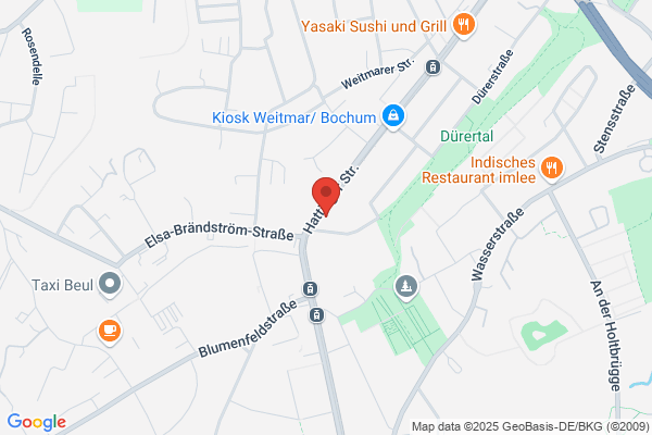 Dr.Ing. Hans-Gerd Witteler