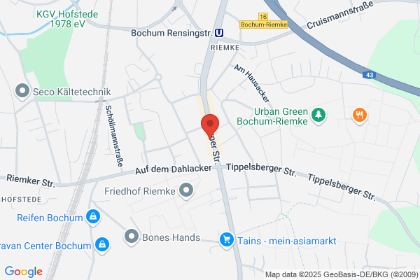 Musikschule Convivo Inhaber Ansgar de la Haye