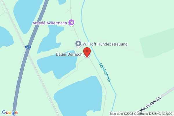 Berrisch
