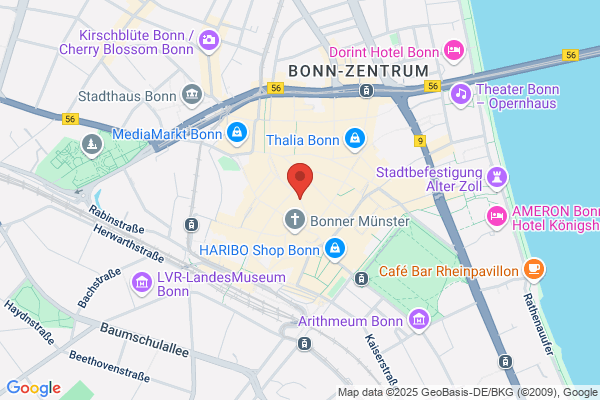 ONLINE WEIHNACHTSMARKT BONN