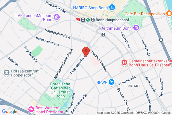 Hausdorff Research Institute for Mathematics