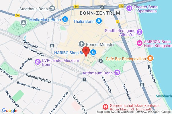 Kunst und Antiquitäten am Münster